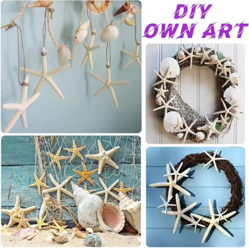 Coastal starfish craft and display ideas