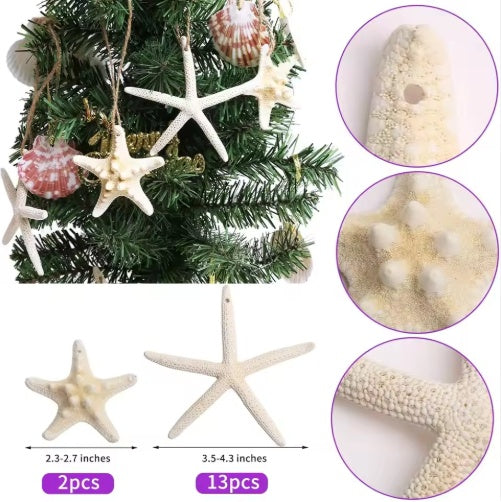 Two chunky and thirteen slender stars with supplier size labels
