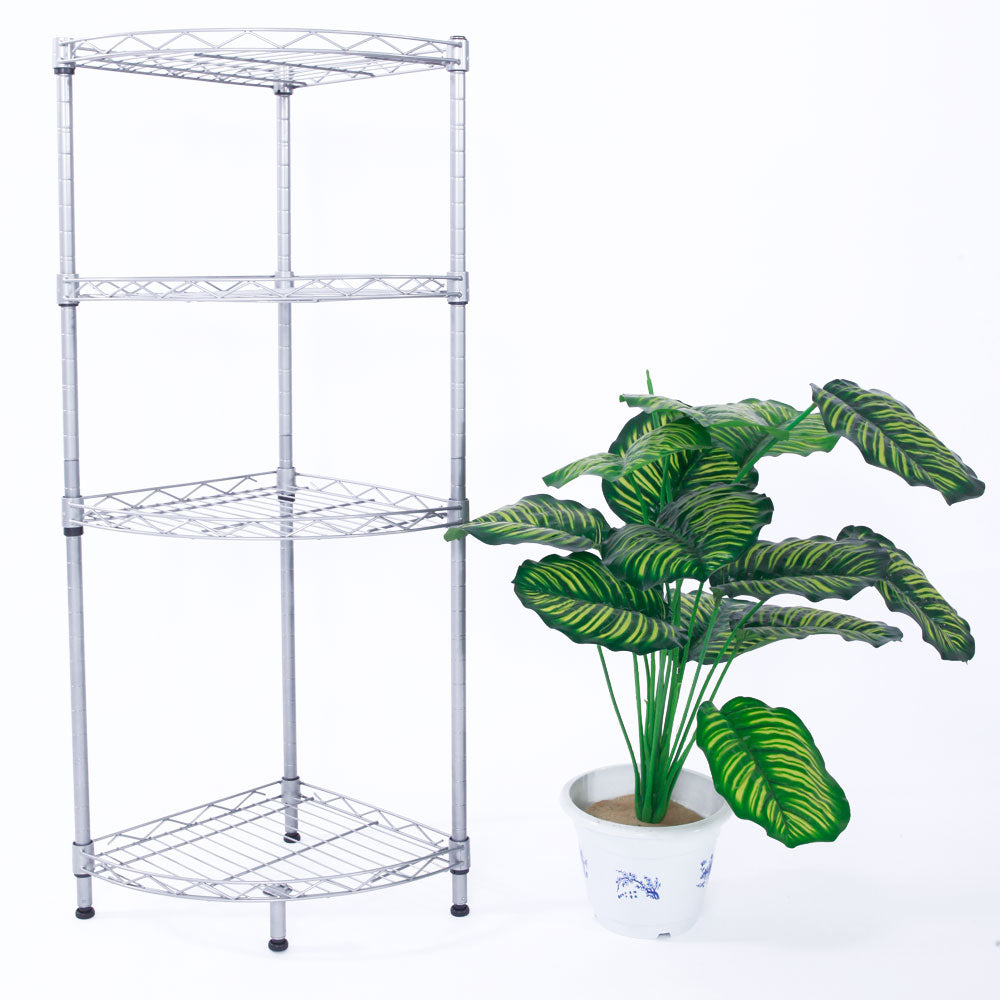 Full rack beside a plant for display