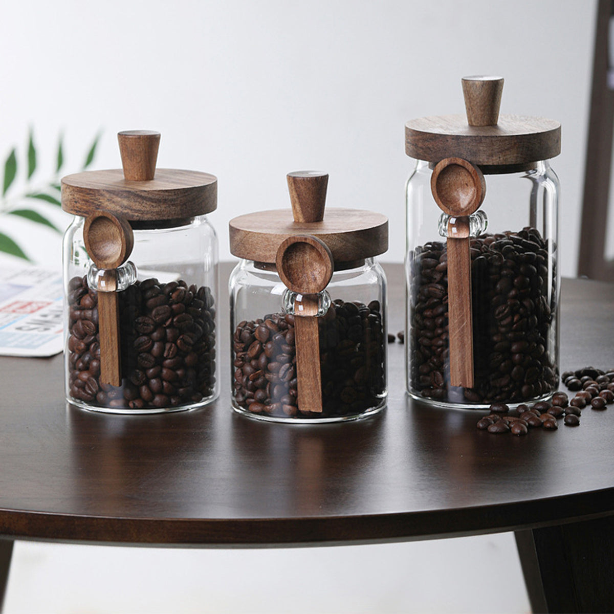 Glass Storage Jars with Spoons – Set of 3 | Airtight Borosilicate Jars for Coffee, Tea, Candy & Spices-SROYAS 