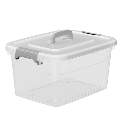 Single clear box with clip lid and handle