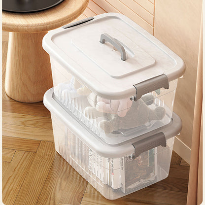 Fastening-clip and carry-handle box detail