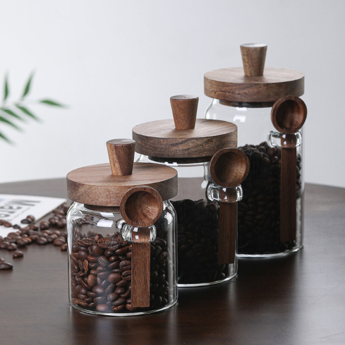 Glass Storage Jars with Spoons – Set of 3 | Airtight Borosilicate Jars for Coffee, Tea, Candy & Spices-SROYAS 