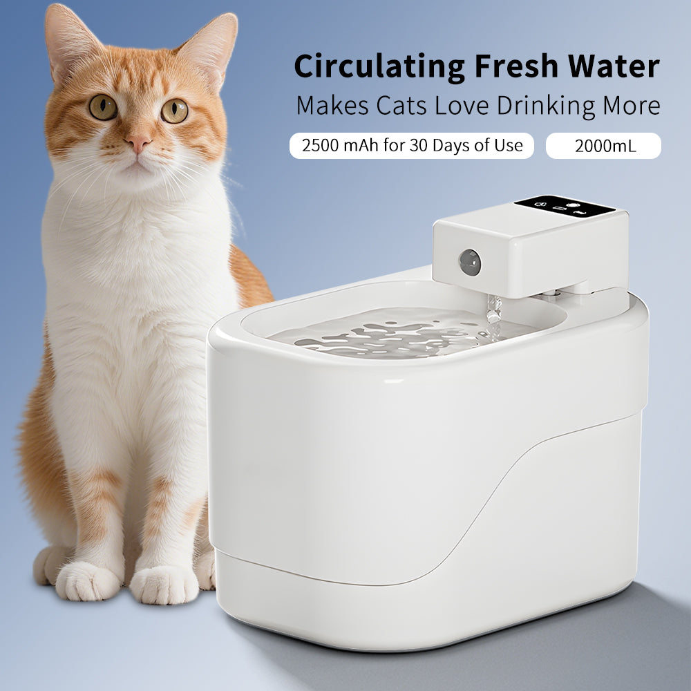 Intelligent Pet Drinking Fountain - 2000ML Capacity-Pet Care Products-SROYAS 