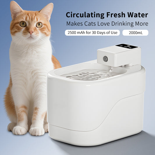 Intelligent Pet Drinking Fountain - 2000ML Capacity-Pet Care Products-SROYAS 