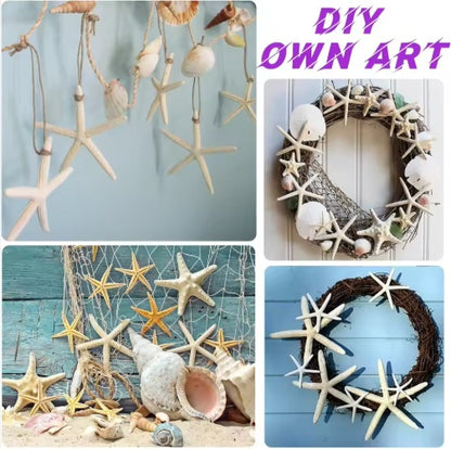 Coastal starfish craft and display ideas