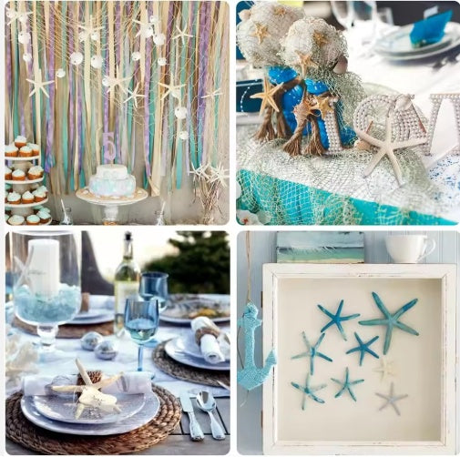 Starfish used in coastal table and frame craft examples