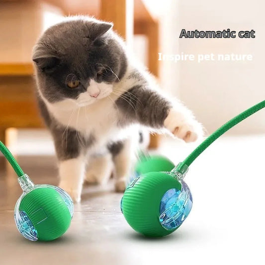Automatic Rolling Pet Ball - Interactive & Rechargeable Toy-SROYAS 